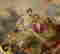 item-129927704=5