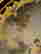 item-129927704=7