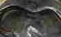 item-131996876=6