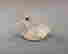 item-133144730=6