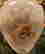 item-137479513=6