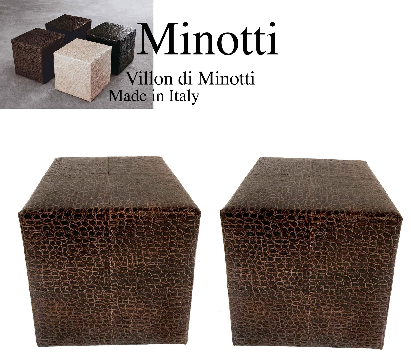Pair of MINOTTI Villon Skin Leather Ottoman Cubic Seats: A Pair of MINOTTI Villon Skin Leather Ottoman Cubic Seats. Designed by Rodolfo Dordoni. Made In Italy. Size: 16" x 16" 16"