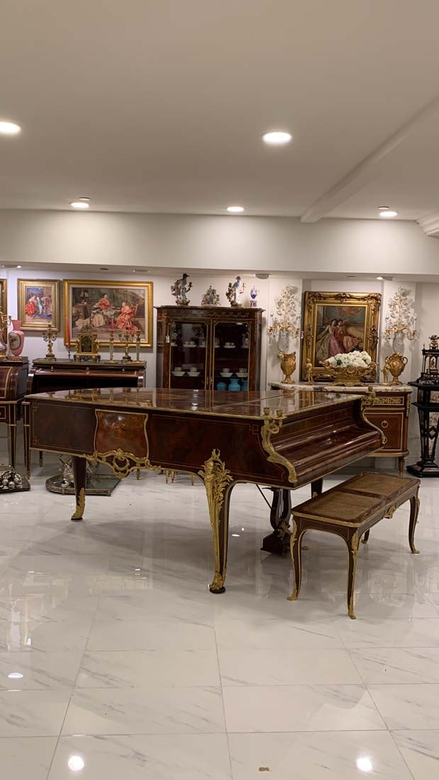 Magnificent F. Barbedienne Bronze Mounted Grand Piano - 18