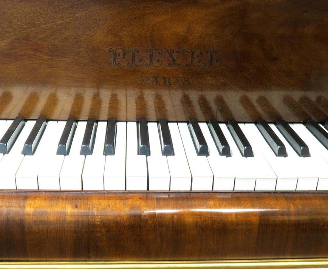 Magnificent F. Barbedienne Bronze Mounted Grand Piano - 4