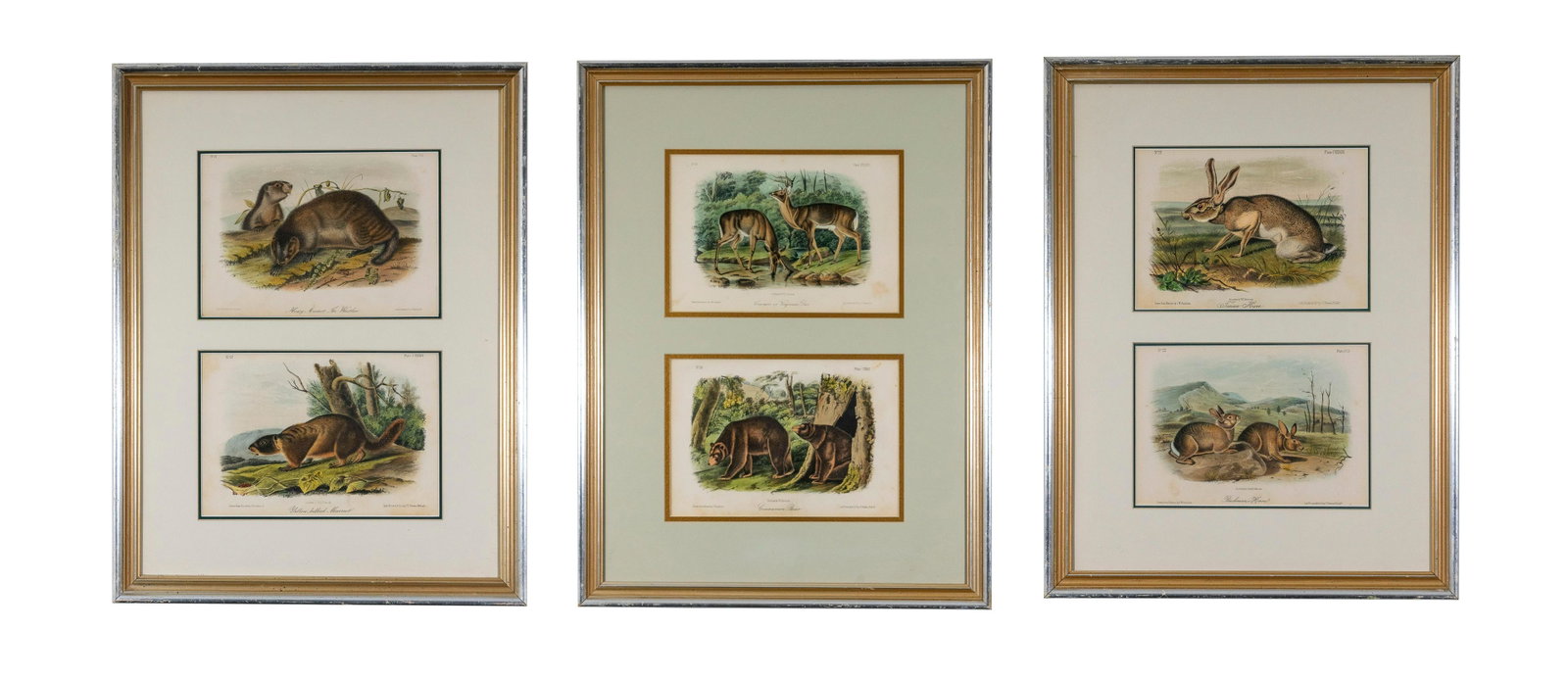 Set of Three Audubon Wildlife Plates: Lot 76 John James Audubon (1785-1851) Set of Six Audubon Wildlife Plates "Common or Virginian Deer," "Grizzly Bear" ,"Texian Hare", "Bachman's Hare", "Yellow Bellied Marmot, "
