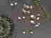 item-67333346=2
