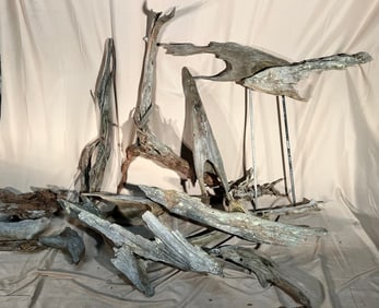Collection of Driftwood