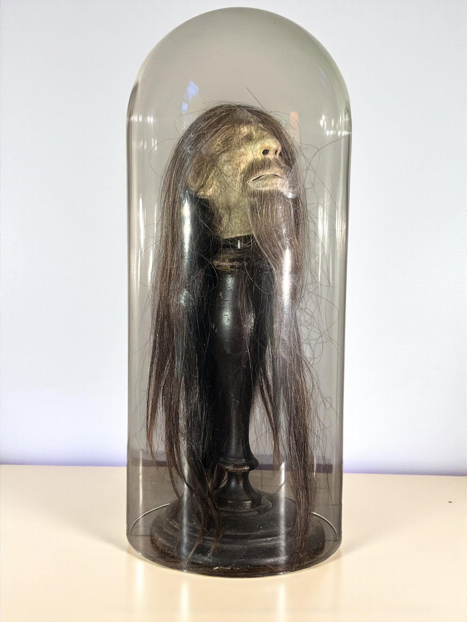 Novelty Shrunken Head: A novelty shrunken head in leather on an ebonized turned wood stand, under a glass dome.