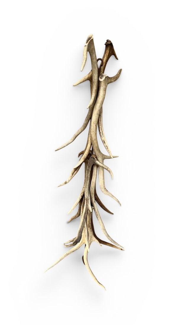 Antler Hanging: A vintage sculptural hanging comprised of several deer antlers. Possibly for a chandelier? 12" dia. x 36" h