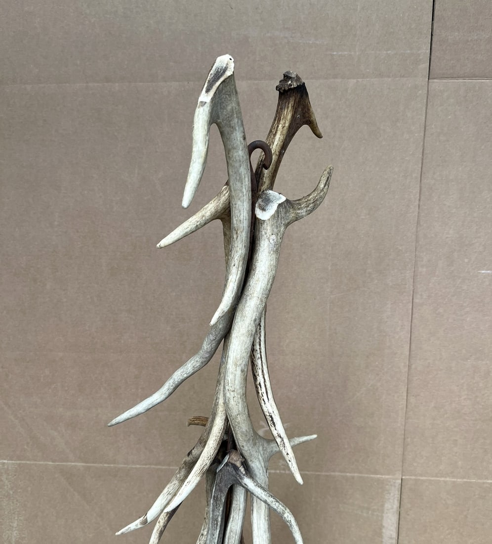 Antler Hanging - 3