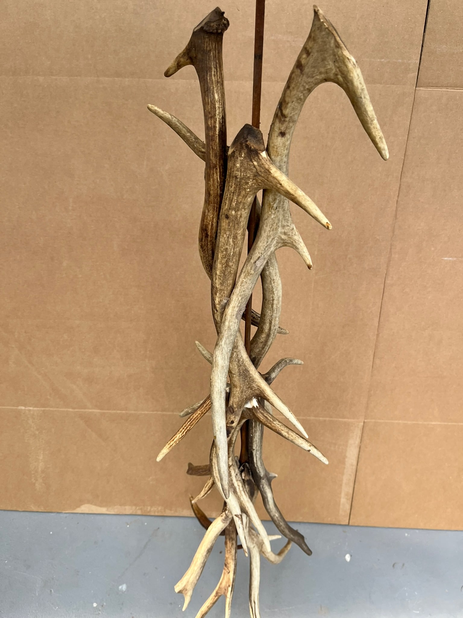 Antler Hanging - 5