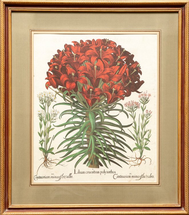 Hand Colored Engraving by Besler (1 of 6)
