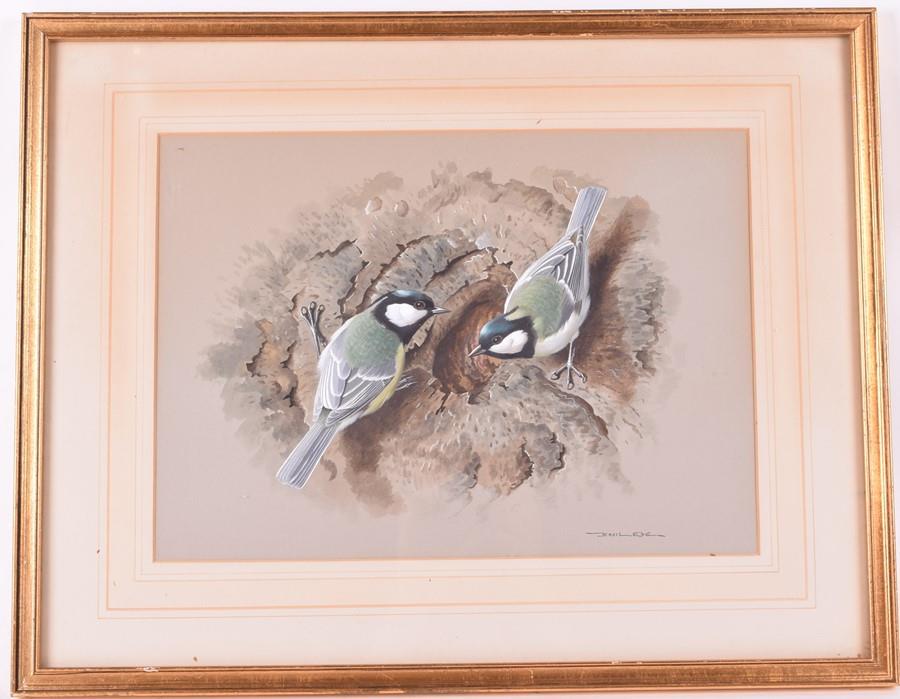 Basil Ede (1931-2016) British  'Great Tits at Nest (1 of 5)