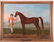 T. Spencer, 'Wilson's Arabian', oil on canvas, with