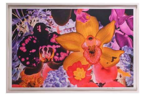 † Marc Quinn (b.1964), 'At the Far Edges of the Universe 05', 2010, signed in the border, pigment: † Marc Quinn (b.1964), 'At the Far Edges of the Universe 05', 2010, signed in the border, pigment print, image 64.5 cm x 99.5 cm, sheet 68.5 cm x 103 cm, framed and glazed 74.5 cm x 109.5 cm