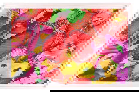 † Marc Quinn (b. 1964), 'At the Far Edges of the Universe 02', 2010, signed in the border, pigment: † Marc Quinn (b. 1964), 'At the Far Edges of the Universe 02', 2010, signed in the border, pigment print, image 64.5 cm x 99.5 cm, sheet 68.5 cm x 103 cm, framed and glazed 74.5 cm x 109.5 cm In ver