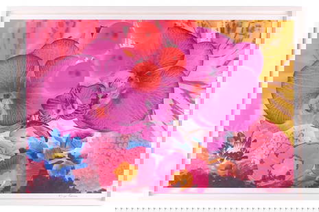 † Marc Quinn (b. 1964), 'At the Far Edges of the Universe 04', 2010, signed in the border, pigment: † Marc Quinn (b. 1964), 'At the Far Edges of the Universe 04', 2010, signed in the border, pigment print, image 64.5 cm x 99.5 cm, sheet 68.5 cm x 103 cm, framed and glazed 74.5 cm x 109.5 cm In ver