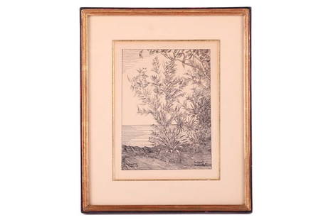 † Marcel Mouillot (1889-1972) French, A Coastal Study with trees and exotic plants, pen and ink,: † Marcel Mouillot (1889-1972) French, A Coastal Study with trees and exotic plants, pen and ink, signed to lower right, pen and ink, with a dedication to 'A Monsieur Ary Rapoport' (lower left), 16 c