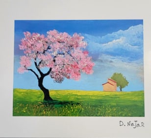 David Najar was in his 30s when he realized that he wanted to create art for a living. He signed up