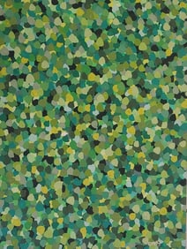 Emily Kame Kngwarreye , (1910 – 3 September 1996),was an Aboriginal Australian artist from the