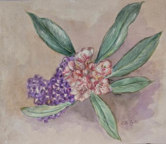 Charles Porter was born in the John Radcliffe Hospital in Oxford, England and maintains dual