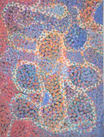 Emily Kame Kngwarray was an Australian artist, born in her ancestral lands, Alhalker located in the