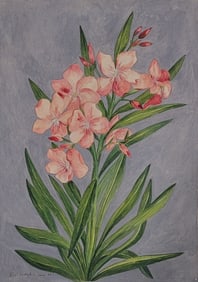 Eliot Hodgkin (19 June 1905 – 30 May 1987) was an English painter, best known for his highly