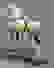 item-86100732=2