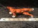 Royal Doulton Irish Setter Figurine - 3