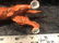 Royal Doulton Irish Setter Figurine - 4