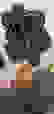 item-72357152=4
