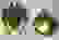 item-72357154=2