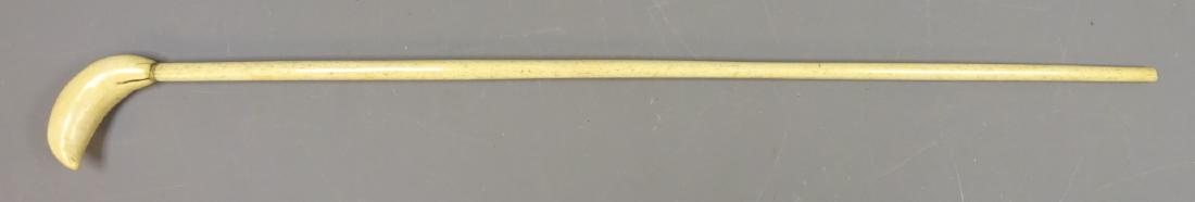 Victorian Whale bone walking stick, slender tapering: Victorian Whale bone walking stick, slender tapering shaft with curved Whale tooth handle, L88cm