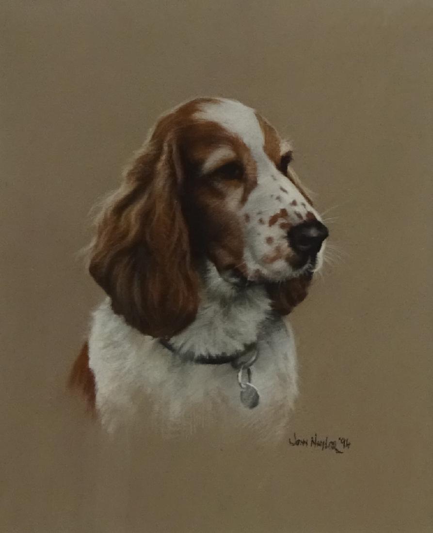 John Naylor (British 1960-): Study of a Spaniel, pastel (1 of 2)