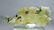 128 CARATS BEAUTIFUL NATURAL BRUCITE SPECIMEN