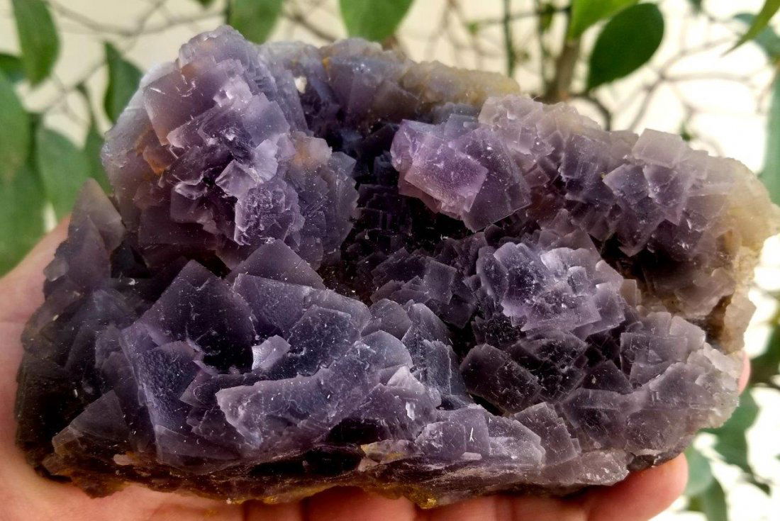 1152 Grams cubic Fluorite Specimen: 1152 Grams Supreme Quality Undamaged cubic Fluorite Specimen: Flat-rate of $50.00 to anywhere. shipping rates are determined by Parcel weight and destination. Combined shipping: Please ask about combi
