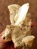 213 grams Fedan Quartz combined with mother rock