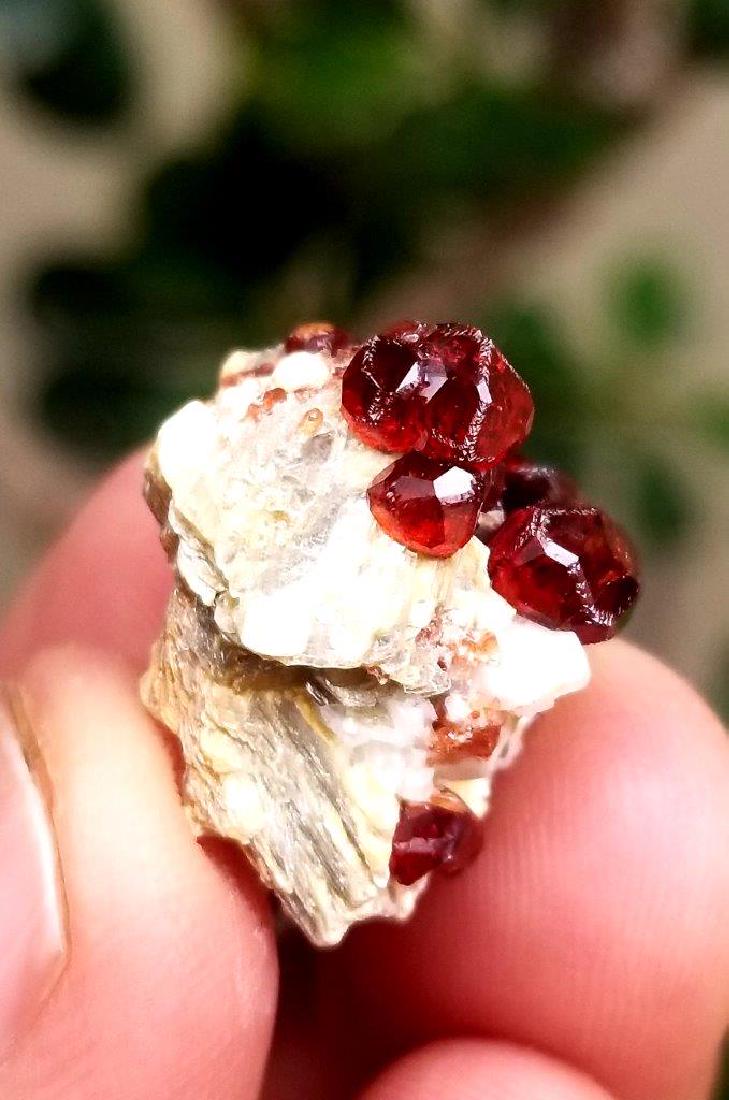 18.5 Cts Hessonite Garnet With Mica: 18.5 Carats Supreme Quality Hessonite Garnet Combined With Mica: Worldwide: Flat-rate of $23.00 to anywhere. shipping rates are determined by Parcel weight and destination. Combined shipping: Please a