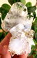 126.3 grams fedan quartz combined crystals - 3