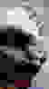 item-74516042=2