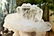 222.5 Grams Undamaged Fedan Quartz Crystal