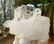 222.5 Grams Undamaged Fedan Quartz Crystal - 2
