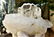 222.5 Grams Undamaged Fedan Quartz Crystal - 4