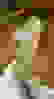 item-78151147=4