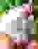 item-79109662=3