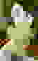 item-80385437=2