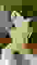 item-80385437=3