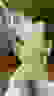 item-80385437=4