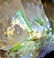 2100 Grams Smoky Quartz with Tourmaline Crystals - 3