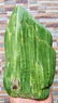 1820 Grams Hand Carved Sarpentine Healing Tumble - 4